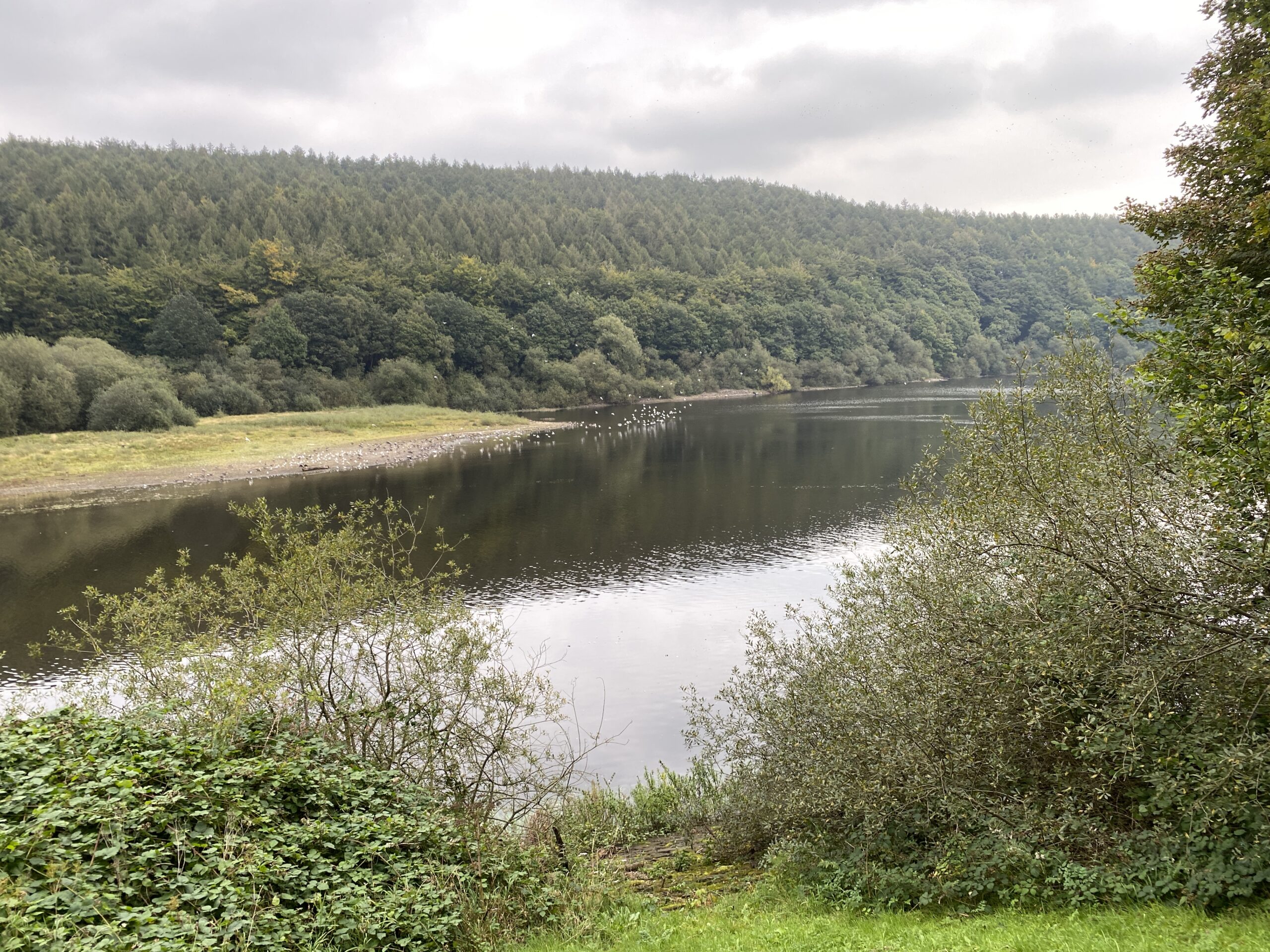 Otley and the Wharfe Valley