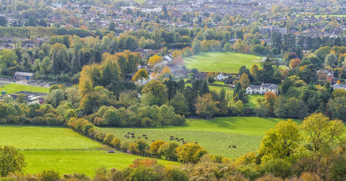 Surrey countryside