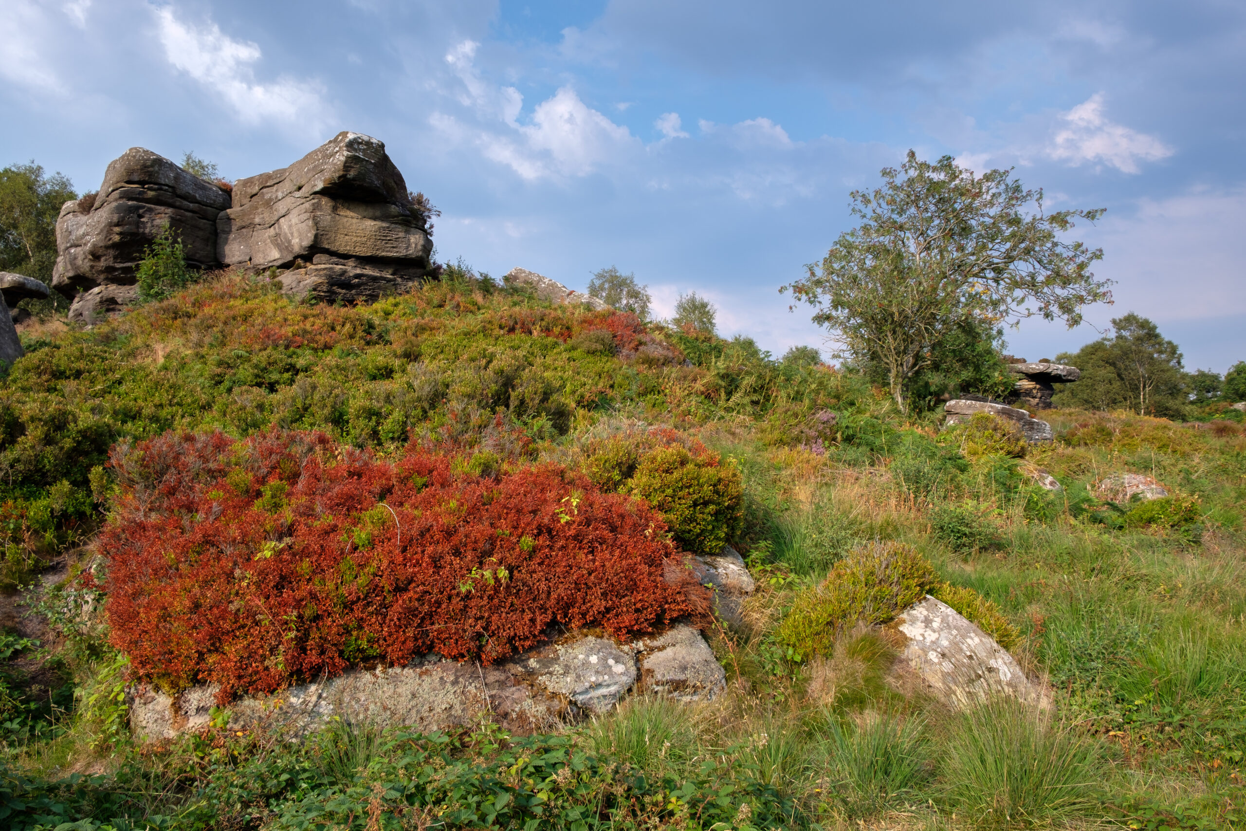 Scenic view of Brimham Rocks in Yorkshire Dales National Park