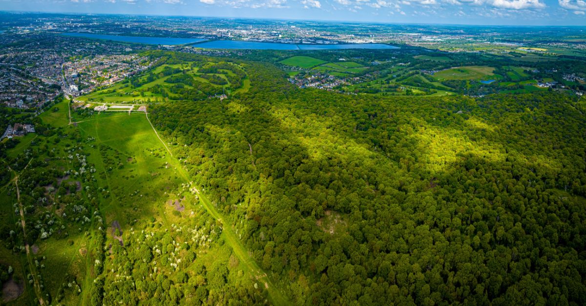 Aerial view of Epping park in Essex, England, UK