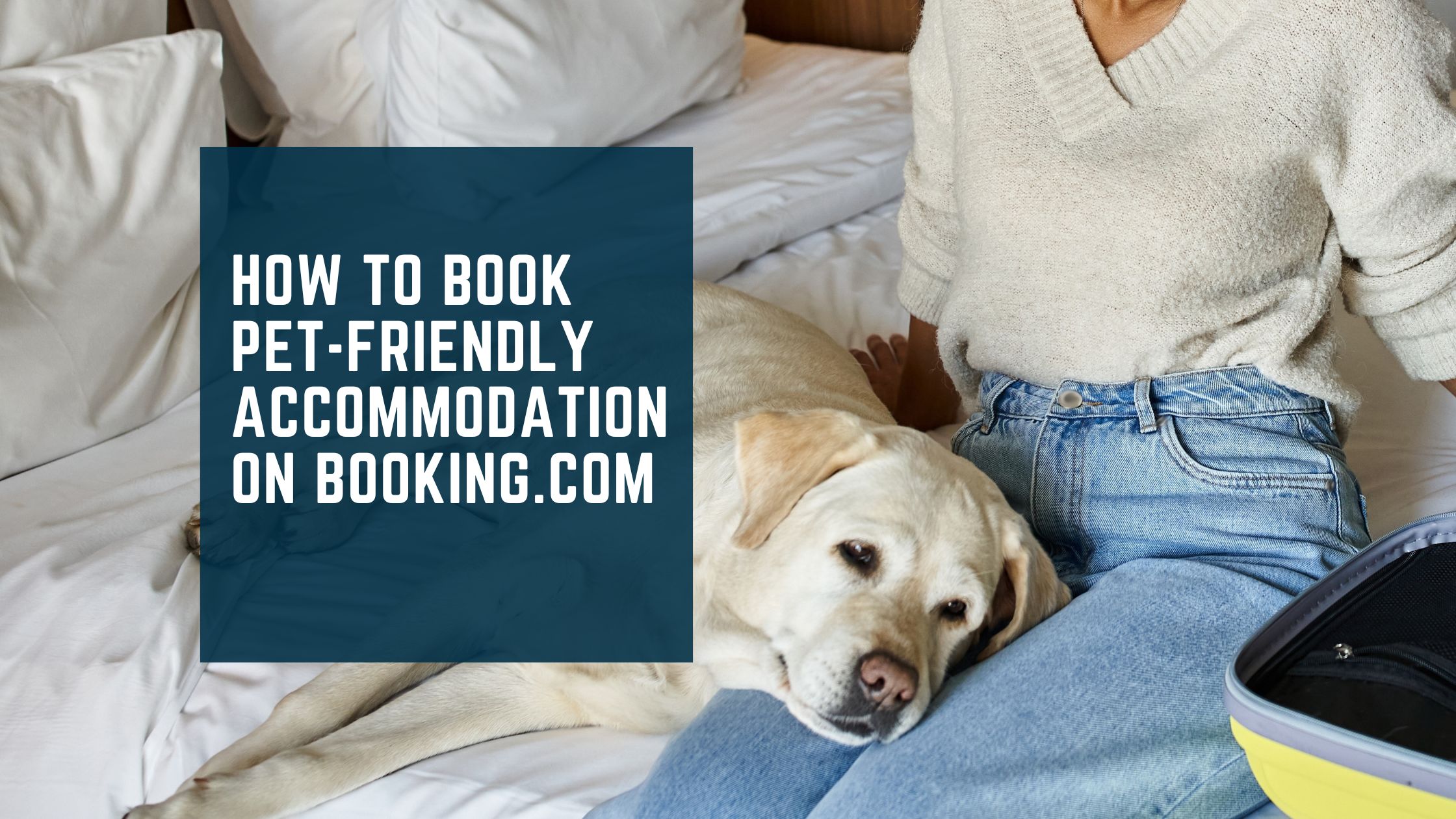 How to Book Pet-Friendly Accommodation on Booking.com